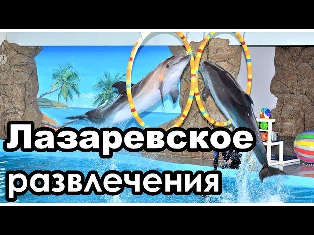 Куда сходить в Лазаревском. Часть 4. Развлечения.Дельфинарий, океанариум и пр.