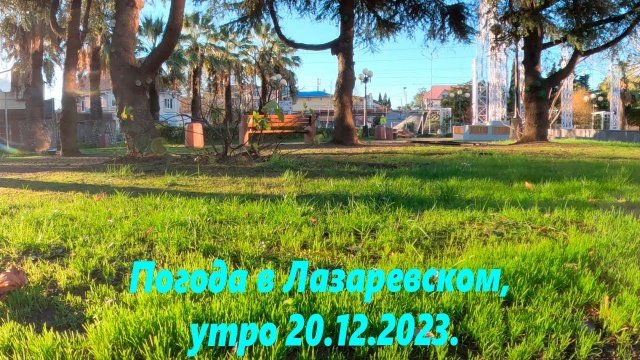 Погода в Лазаревском, утро 20.12.2023. Солнце!