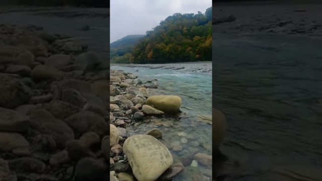 Лазаревское, река Псезуапсе в ноябре. Пришла полюбоваться даже в дождь.