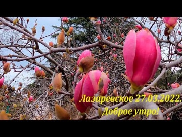Лазаревское 27.03.2022. ул.Победы