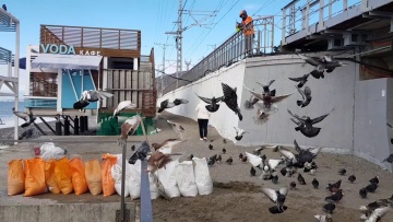 Дождались!!! На юге потеплело, в Лазаревском t  + 7°C!  Море и пляж "Морская звезда" 22 января 2021.