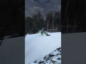 Нападение глухаря на сноубордиста в горах Сочи 28.12.21