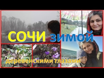 Природа Сочи зимой.  Дальше от городской суеты. Красота деревенскими глазами