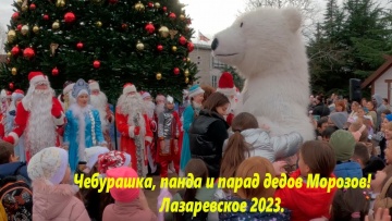 Чебурашка, панда и парад дедов Морозов! Лазаревское в декабре 2023
