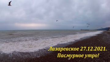 27.12.2021. Пасмурное утро. Лазаревское