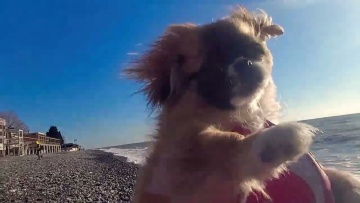 Лазаревское, наконец-то вышло солнце за 2 месяца впервые Ура)