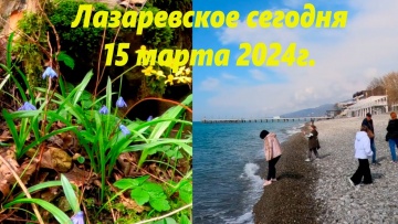 Лето вернулось! Погодка отличная! Лазаревское 15.03.2023. В лесу и у моря