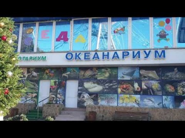 Центральный парк. Гуляния с детьми. Лазаревское. Погода 11 января 2023