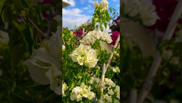 Лазаревское 20.09.2022. Солнышко выходит