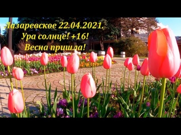 Солнце, +16. Ура, весна! 22.04.2021.Лазаревское