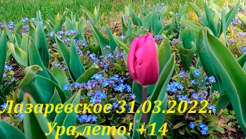 Ура лето! 31.03.2022. Верней весна пришла! Лазаревское