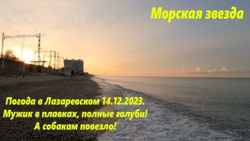 Солнечная погода в Лазаревском 14.12.2023. Море классное