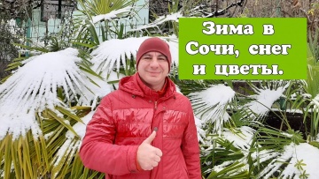 Зима в Сочи