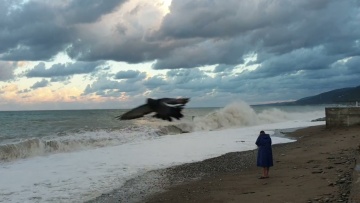 Раннее утро 11 октября 2022. Лазаревское. На море шторм