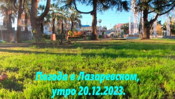 Погода в Лазаревском, утро 20.12.2023. Солнце!