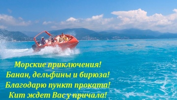 Мы видели дельфинов! Море теплое и бирюзовое! Лазаревское 2 июля