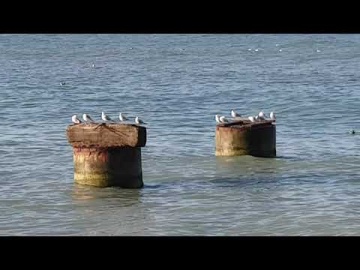 Резкое похолодание! Морозное утро на пляже Бирюза в Лазаревском. 20 октября 2021