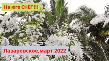 НА ЮГЕ СНЕГ ! Снежное утро. Пушистый снег. Погода в Лазаревском, Сочи. Пальмы в снегу. 18 марта 2022