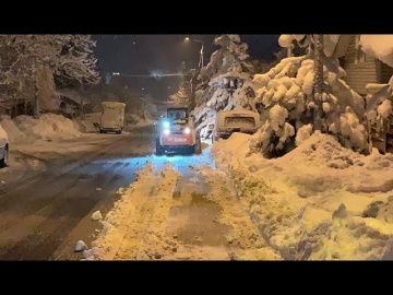 В Сочи за ночь под тяжестью снега упали 35 деревьев